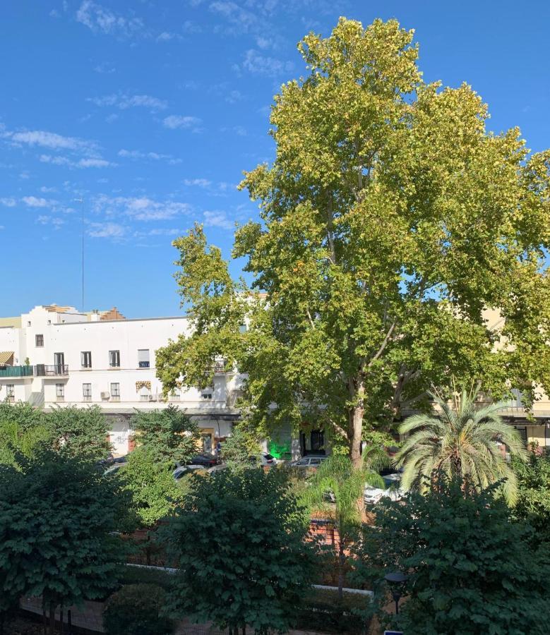 Acogedor apartamento en pleno corazón de Triana Sevilla Exterior foto